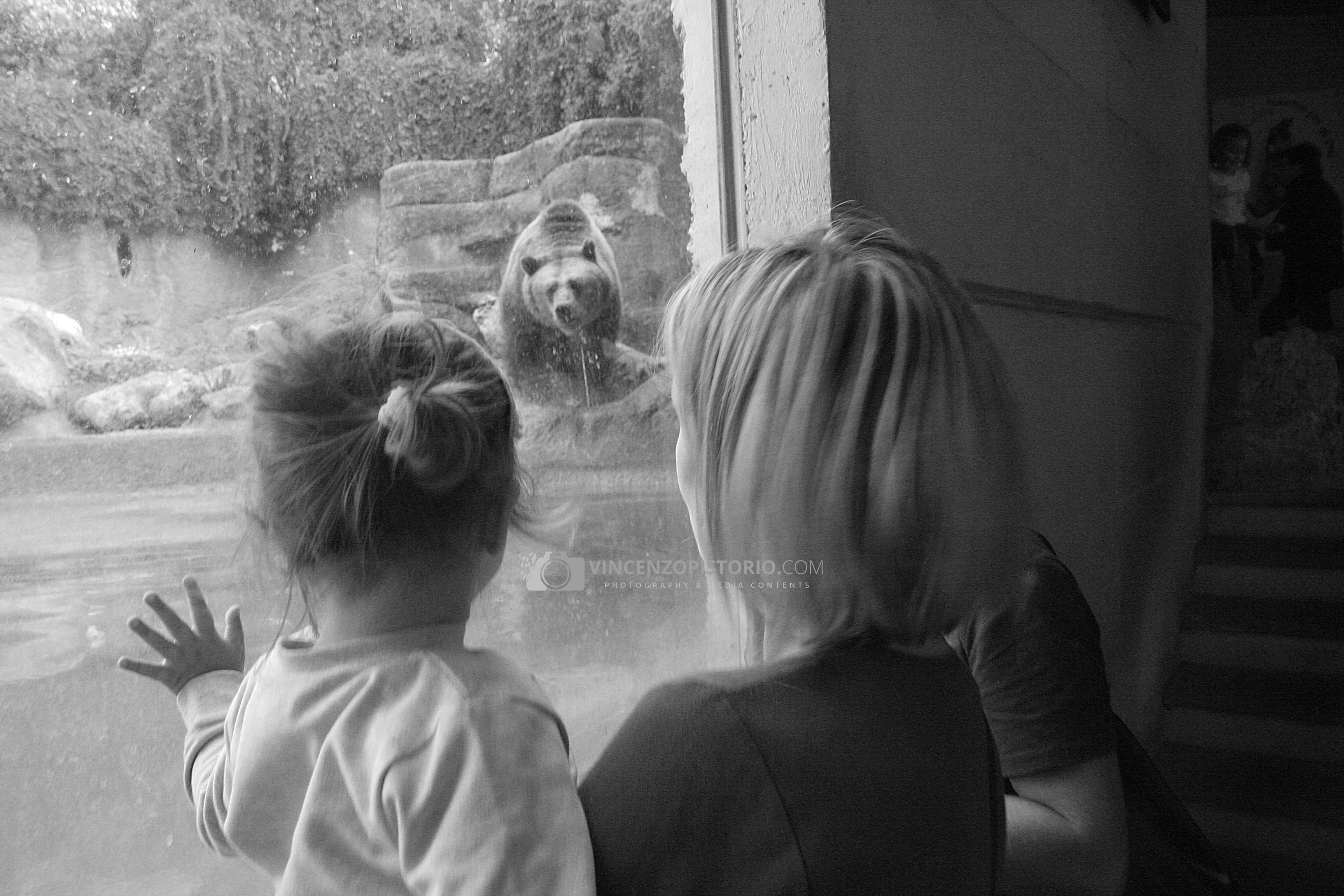 Elisa and Silvia watching a bear – BW