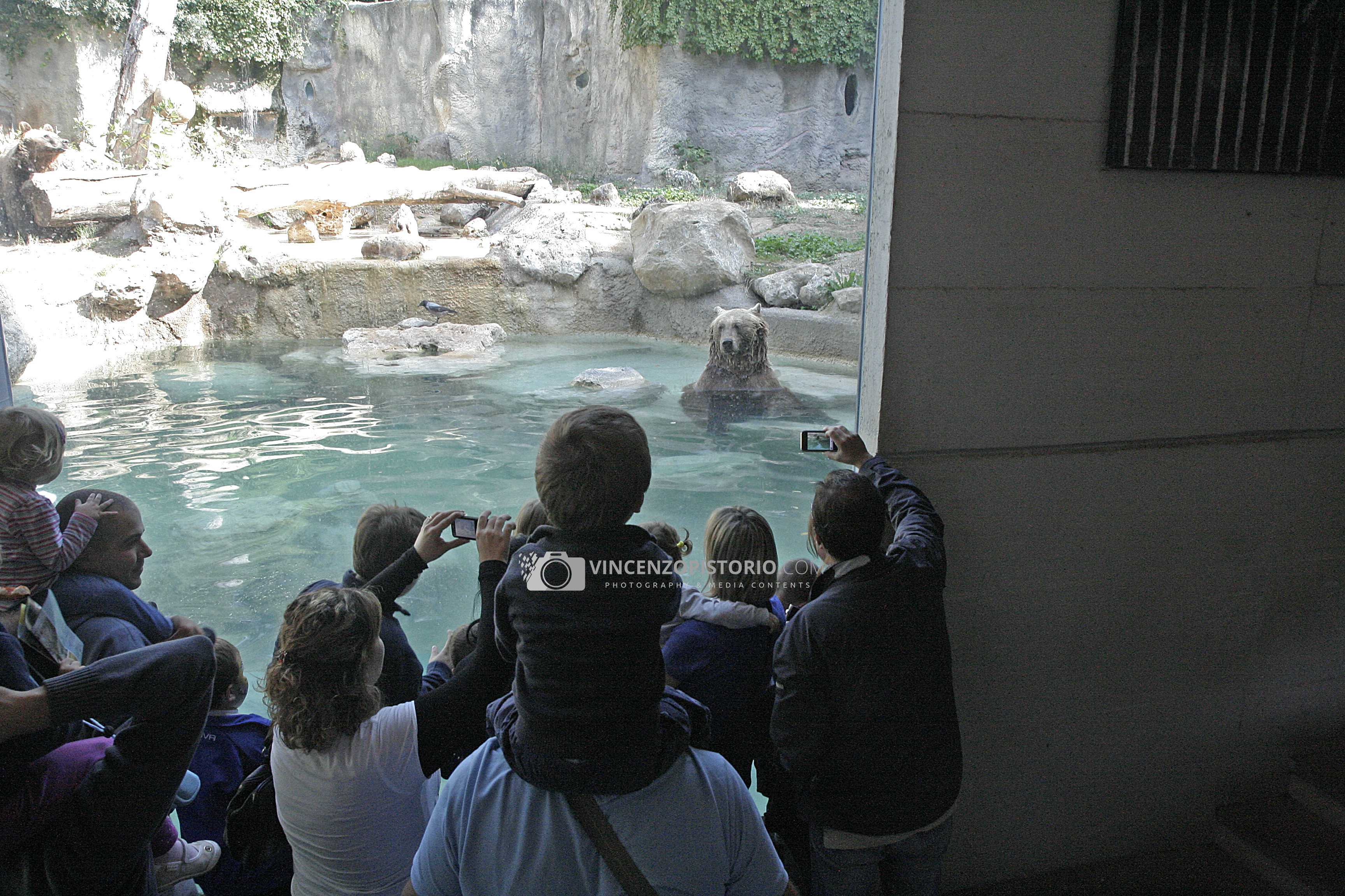 Children and bear – 1