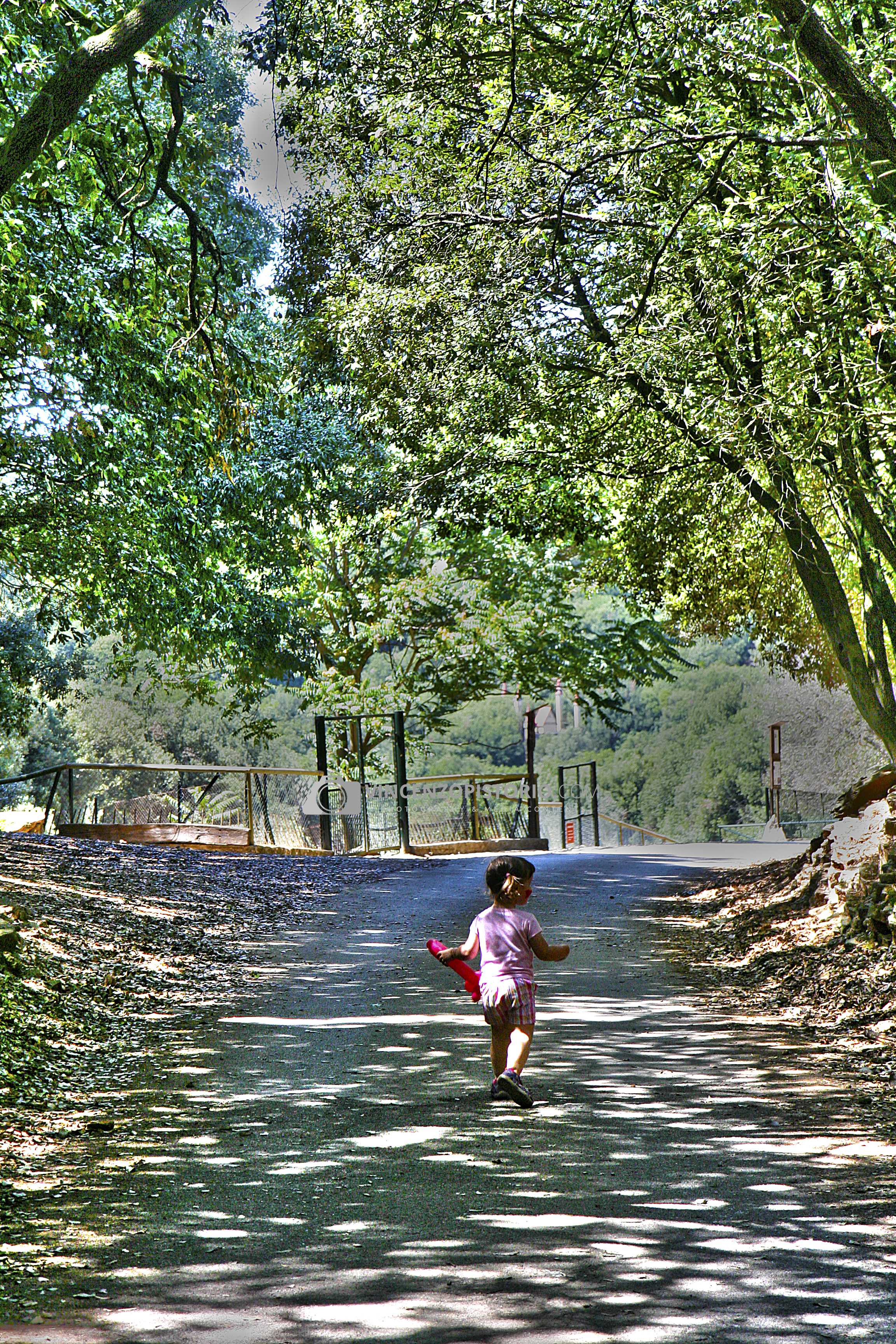 Elisa in the wood – HDR