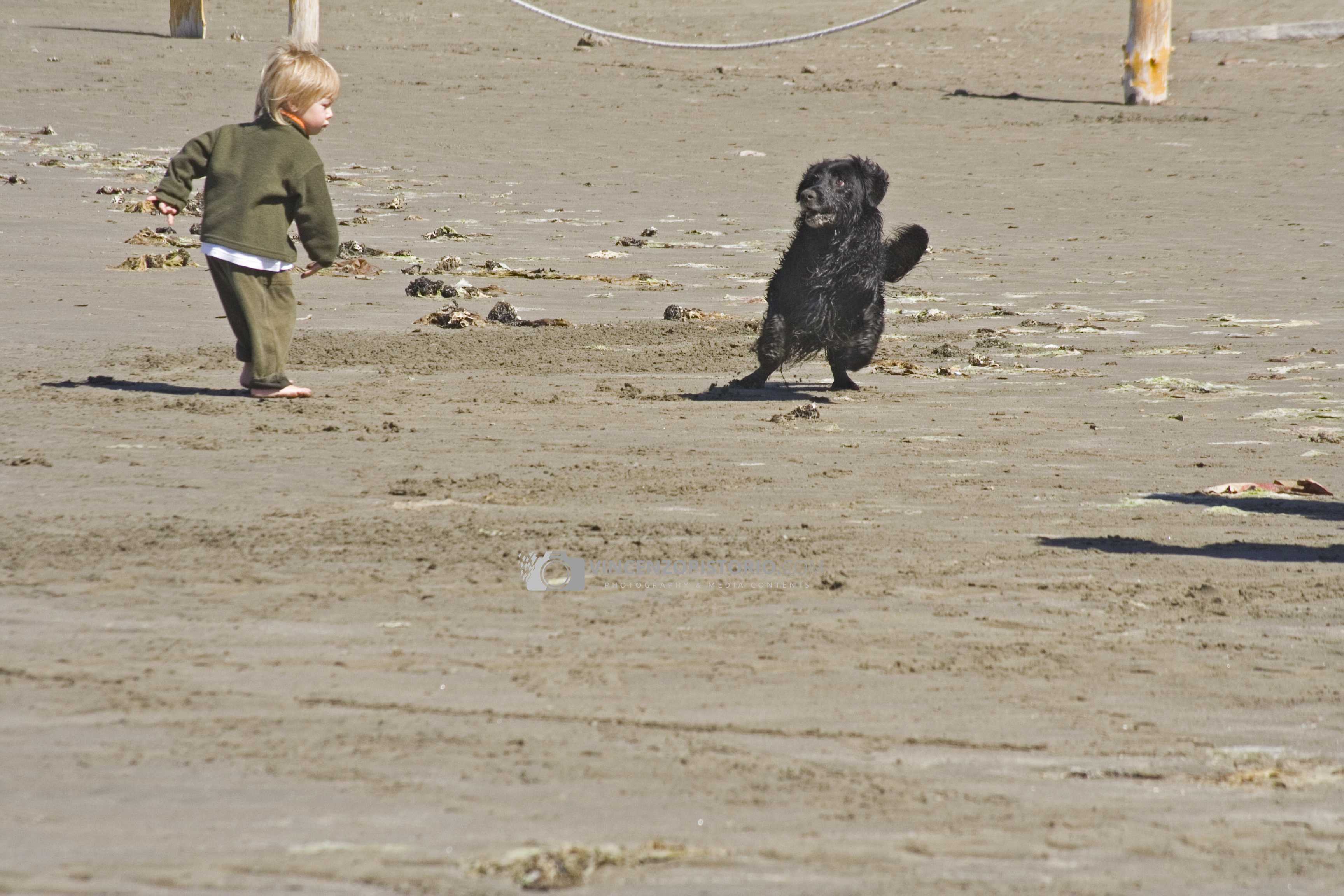 Playing with a dog