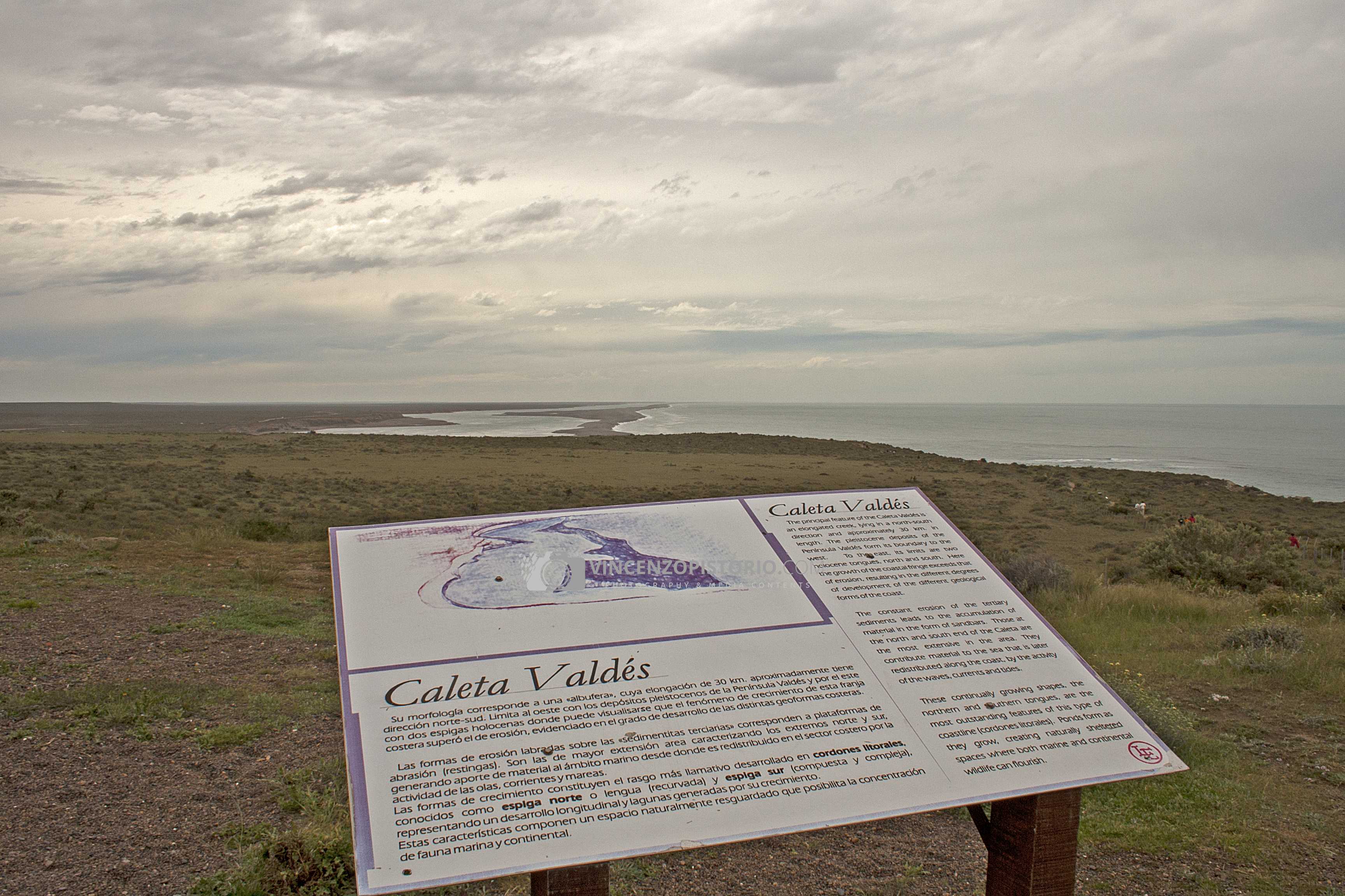 Caleta Valdés