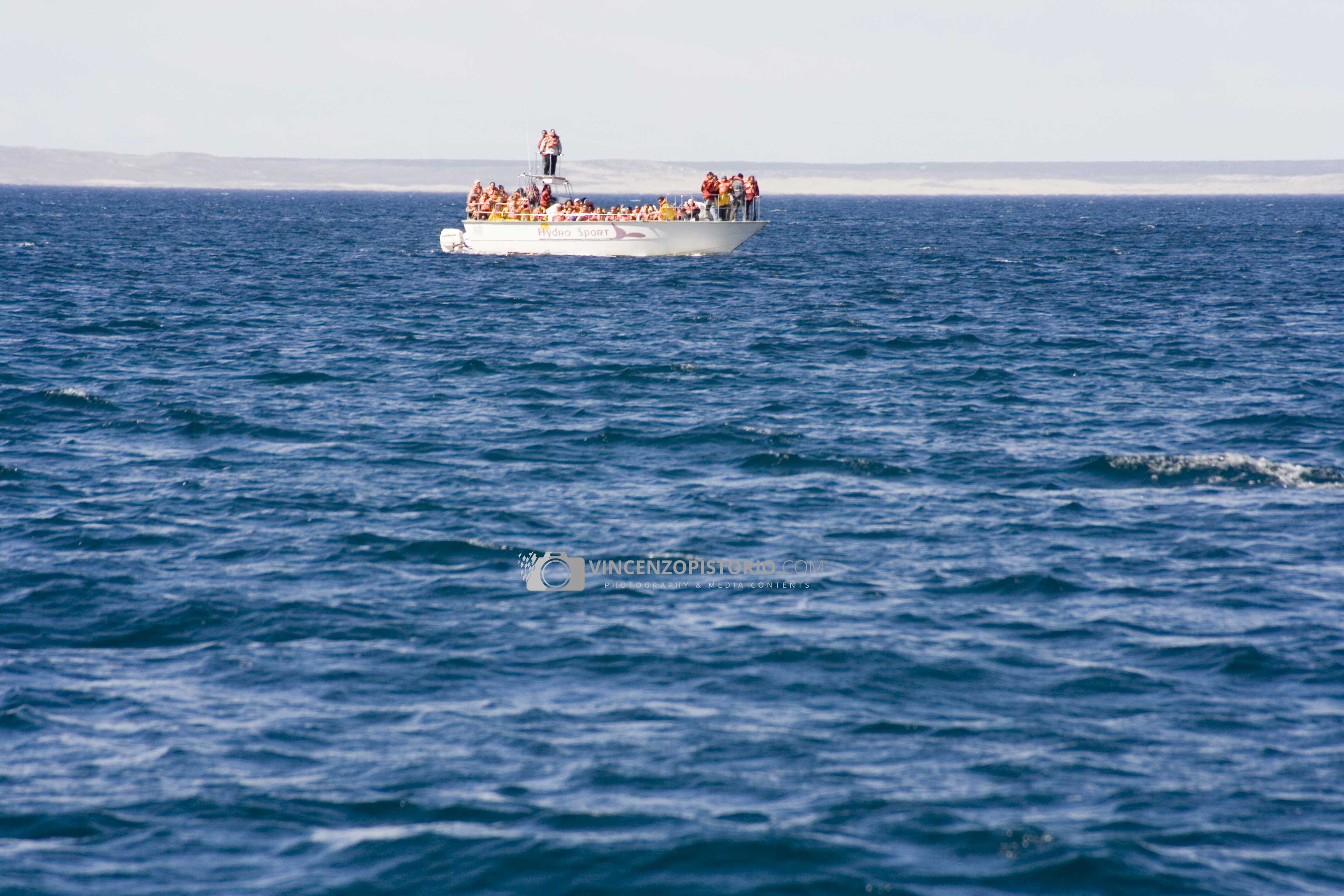 An excursion boat for whales watching