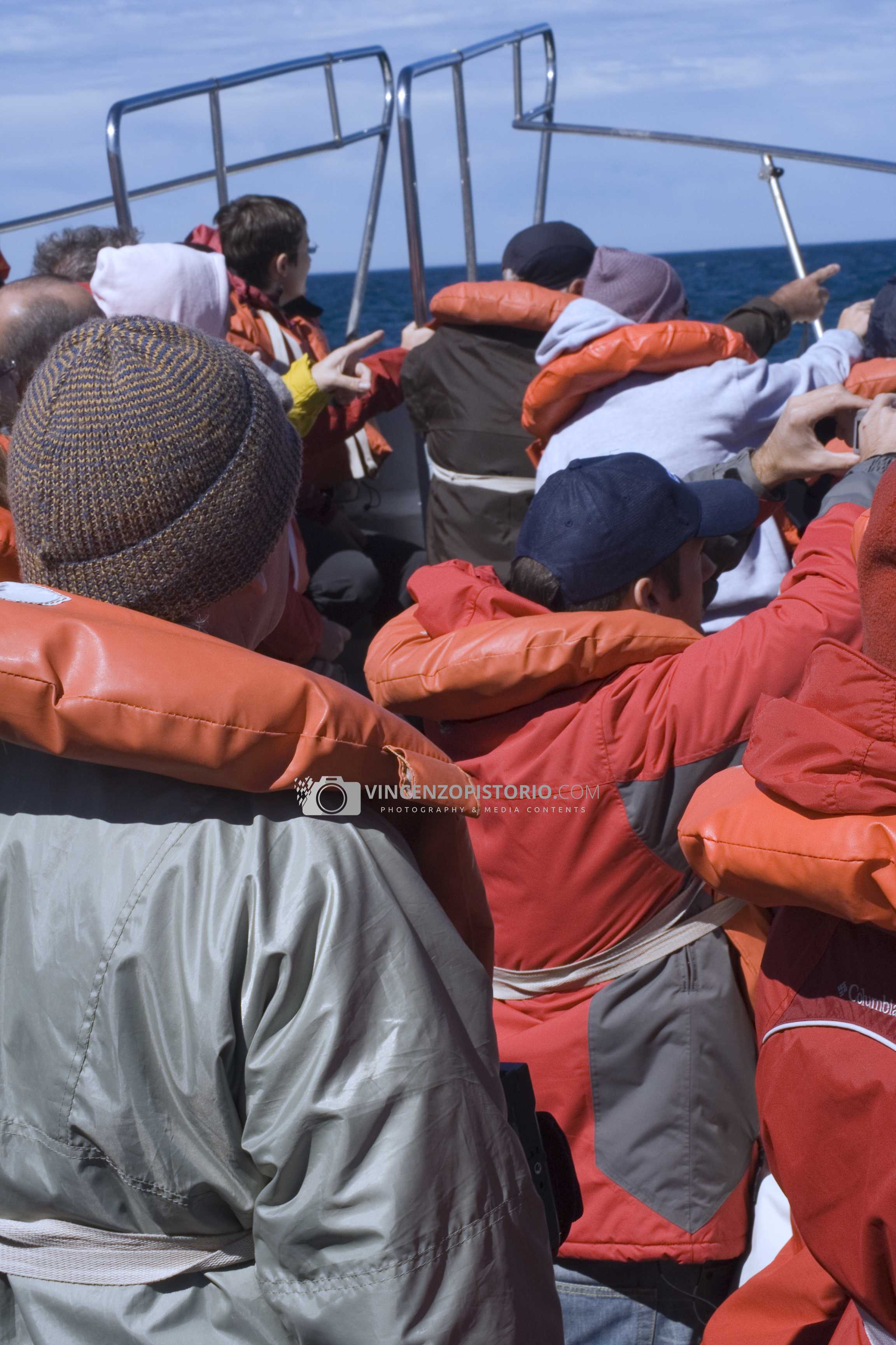 People looking for whales