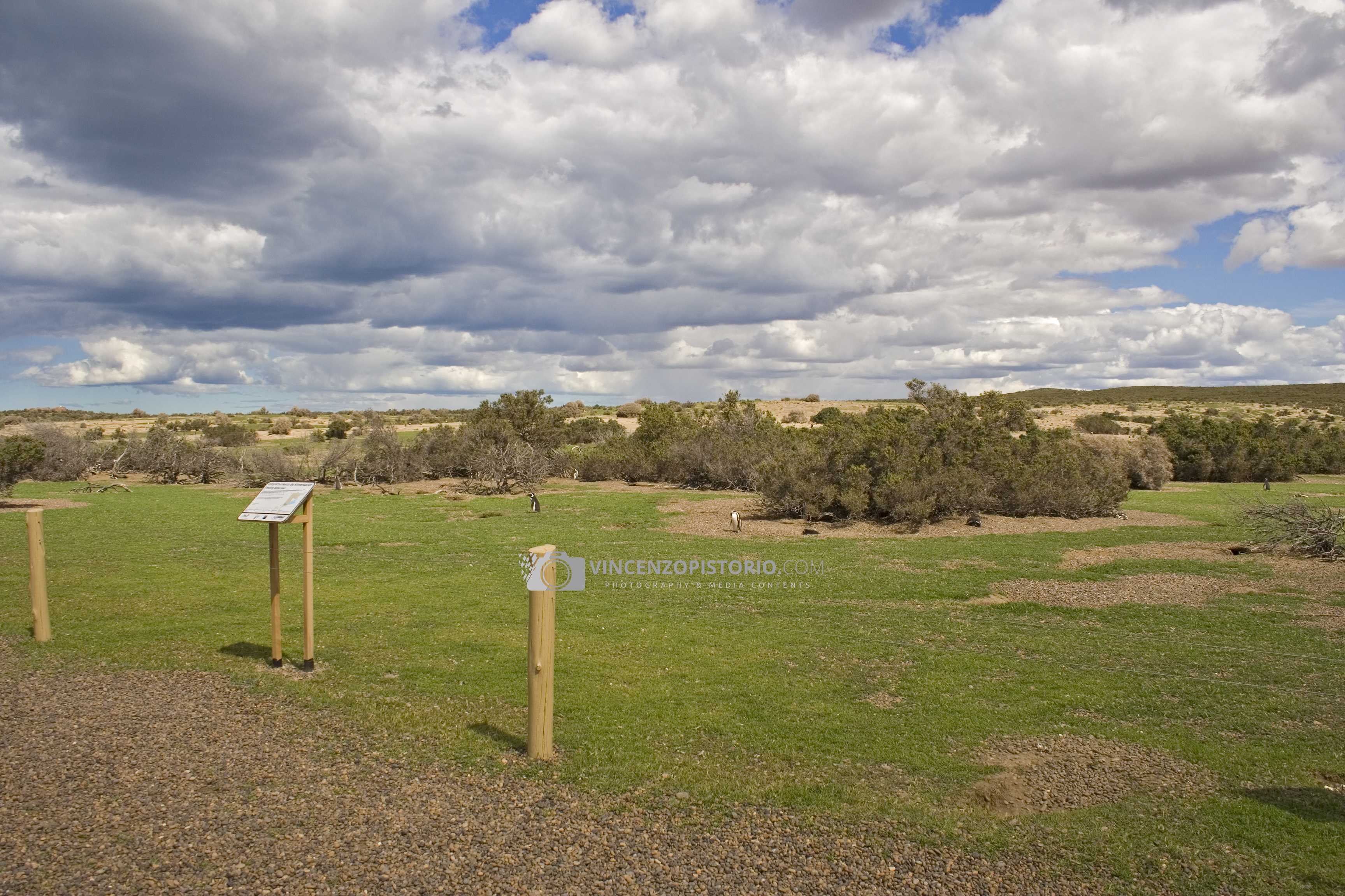 View of Punta Tombo Reserve – 2