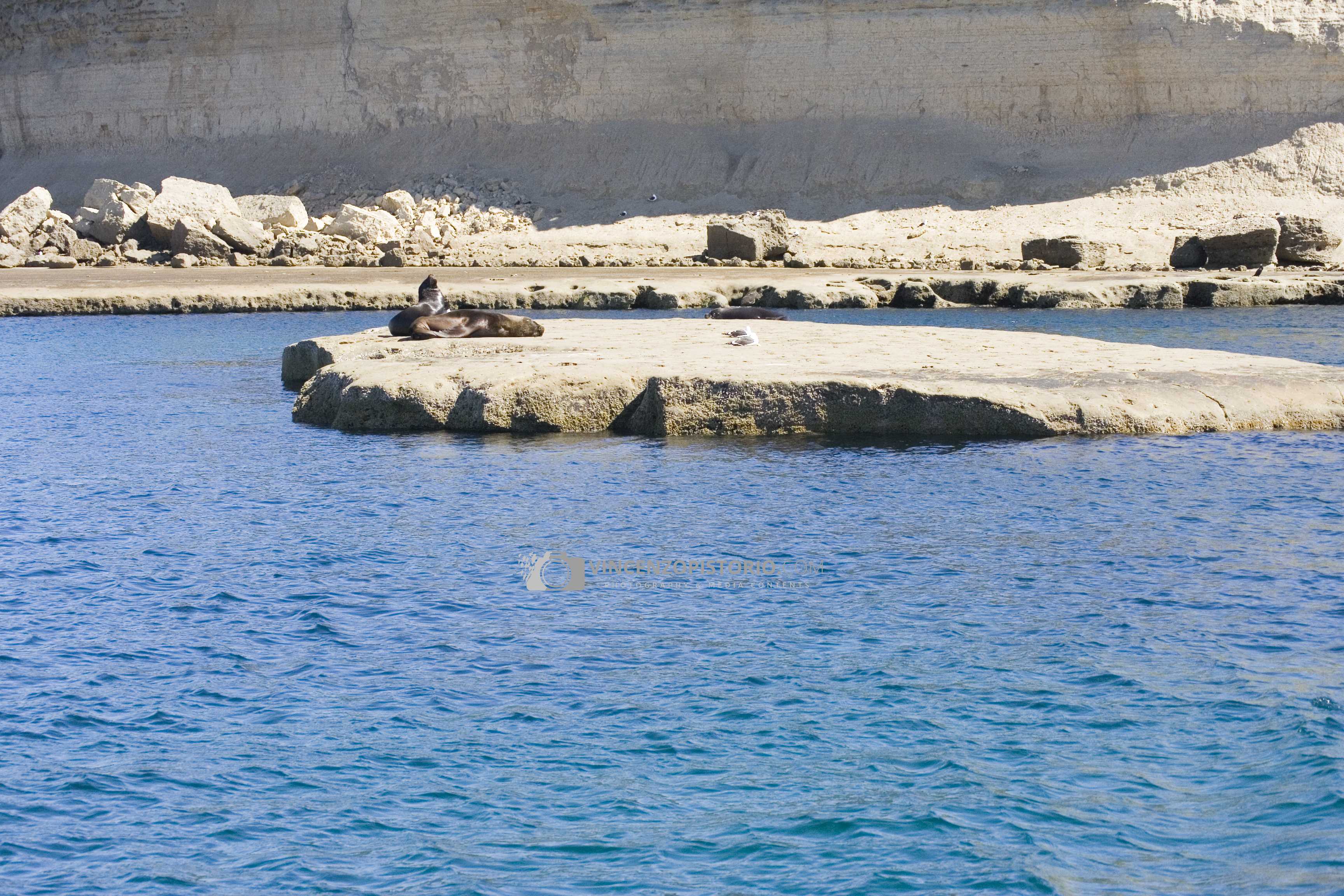 Relaxing on a rock