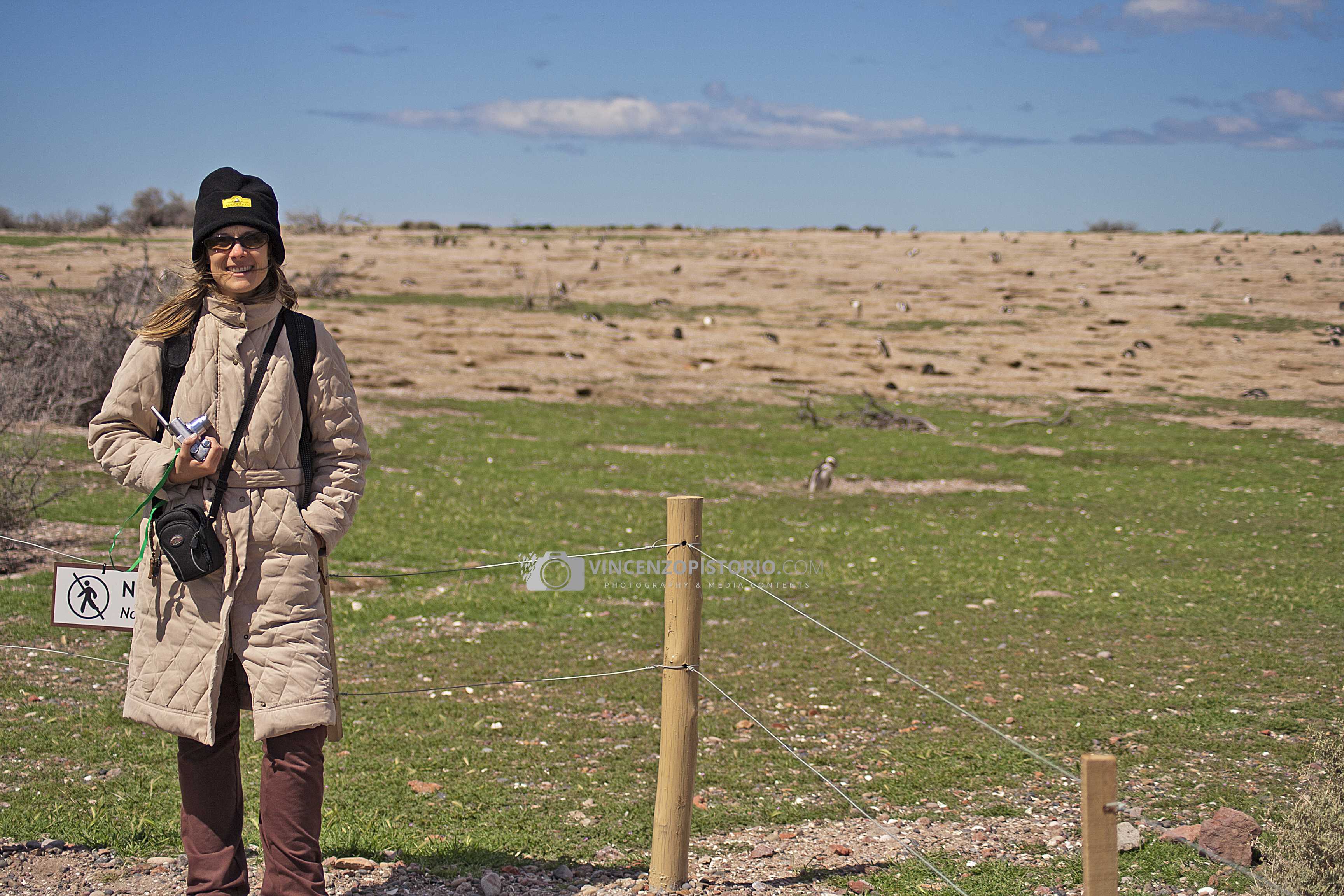 Silvia and a huge numbers of penguins