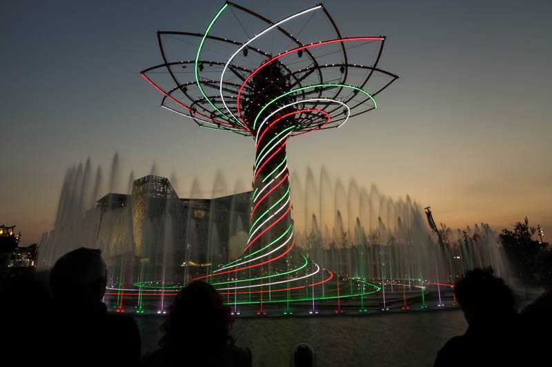 albero-vita-italia-night-expo-mi