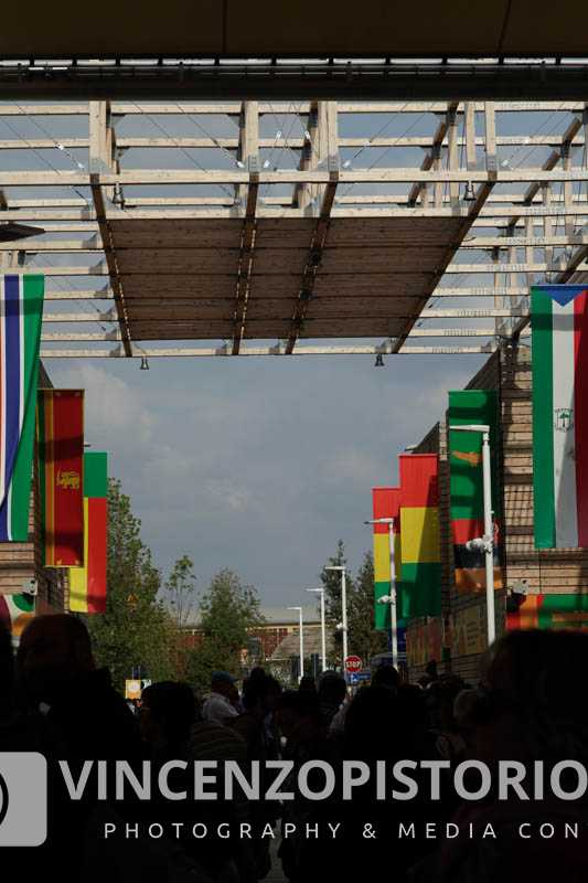 flags-expo-mi