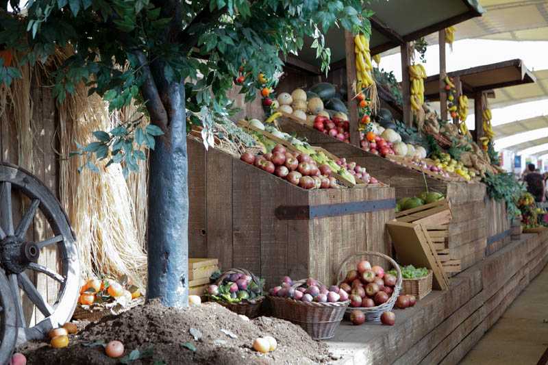 fruit-expo-mi