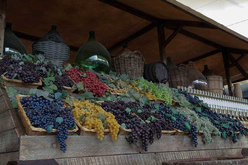 grape-wine-expo-mi