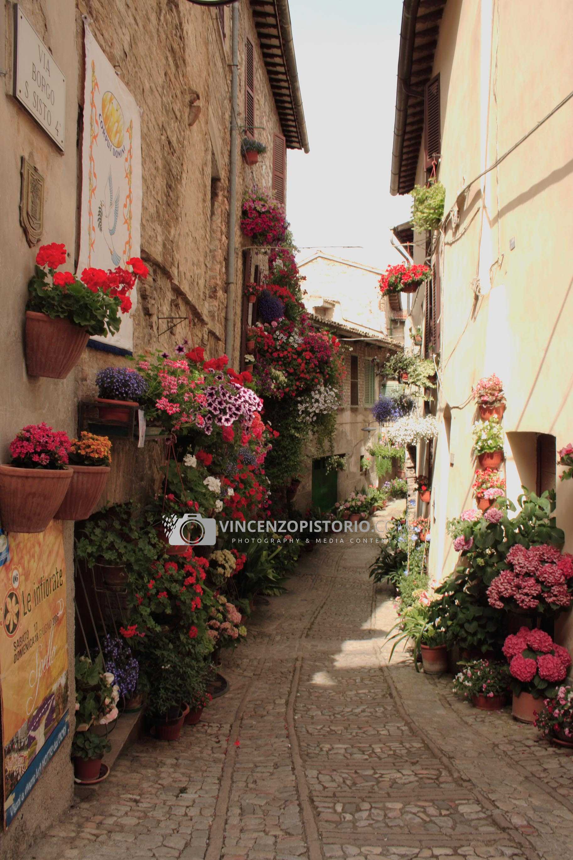 A tipical flowered street