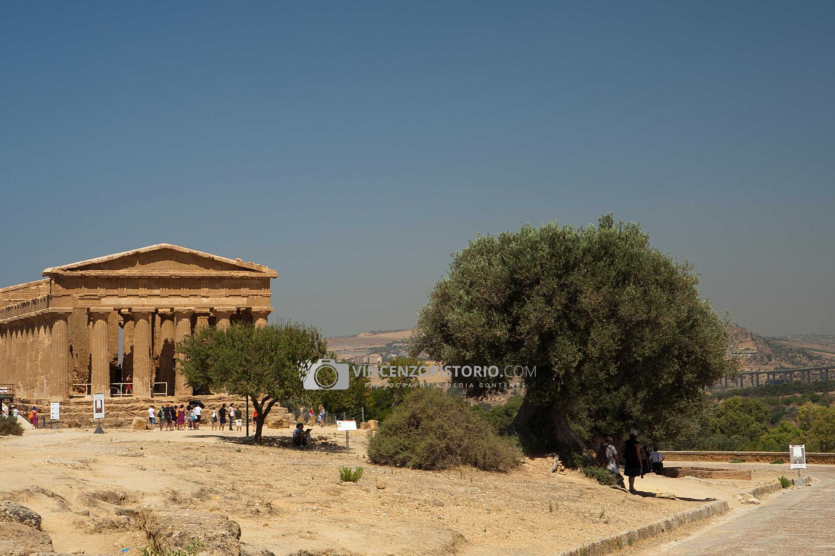 View of Temple of Concordia – 2