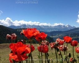 Ritornare e Ripartire