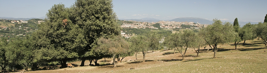 Umbria con i piccini /1 – Una città per la domenica