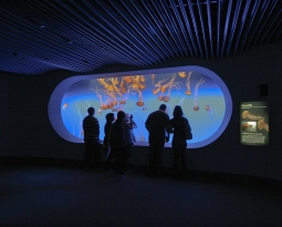 California con i Piccini /2 – Monterey Bay Aquarium